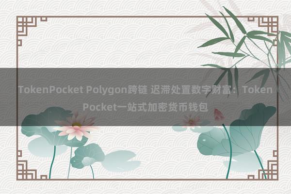 TokenPocket Polygon跨链 迟滞处置数字财富：TokenPocket一站式加密货币钱包