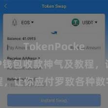 TokenPocket跨链 TP钱包收款神气及教程，让你应付罗致各种数字货币款项